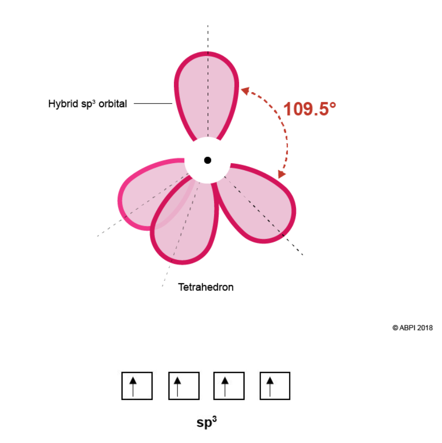 Molecular Orb 4