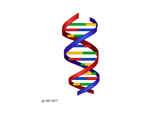 DNA – the molecule of inheritance