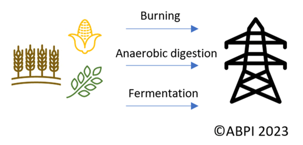 Biomass